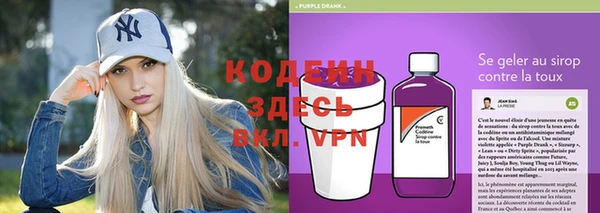 прущие грибы Армянск