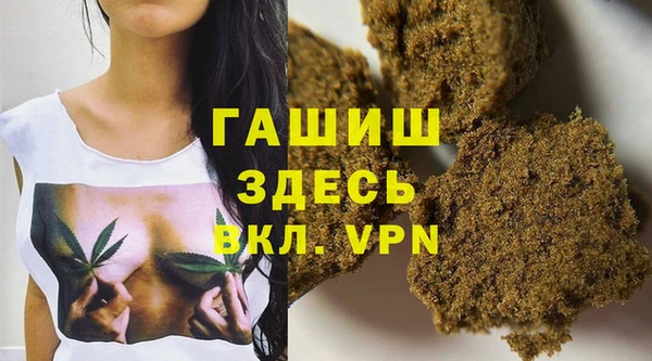 прущие грибы Армянск