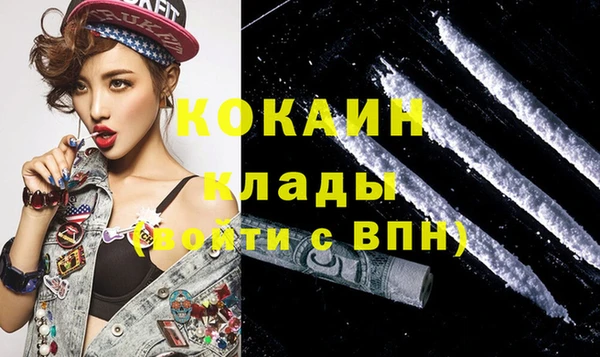 прущие грибы Армянск