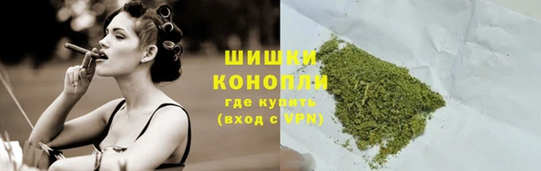 прущие грибы Армянск