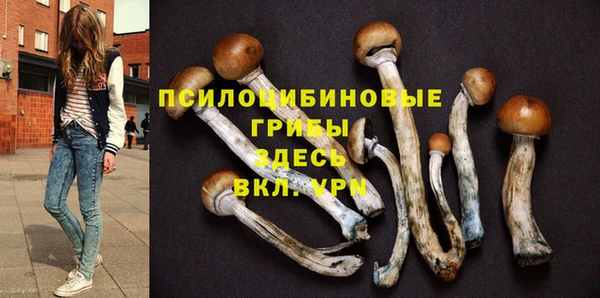 прущие грибы Армянск