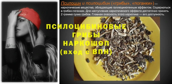 прущие грибы Армянск