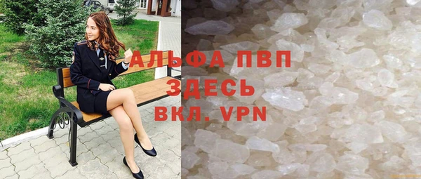 сатива Дмитриев